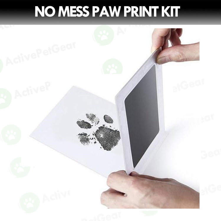inkless dog paw print kit