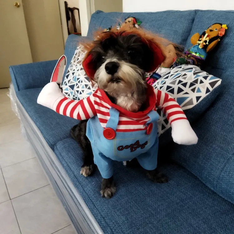 Chucky Doll Dog Costume chucky-doll-dog-costume